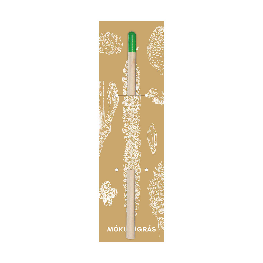 Pflanzbarer Bleistift mit Basilikumsamen Muster 4
